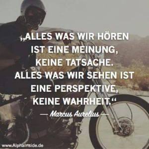 Ein weiteres Beispiel für die Position, die wir in diesem Text kritisieren wollen